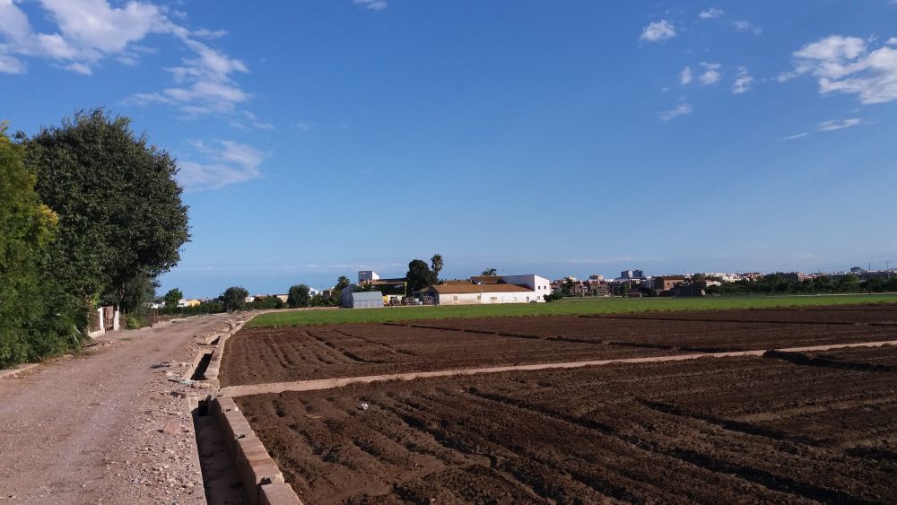 “Huerta de València” designated as Globally Important Agricultural Heritage System